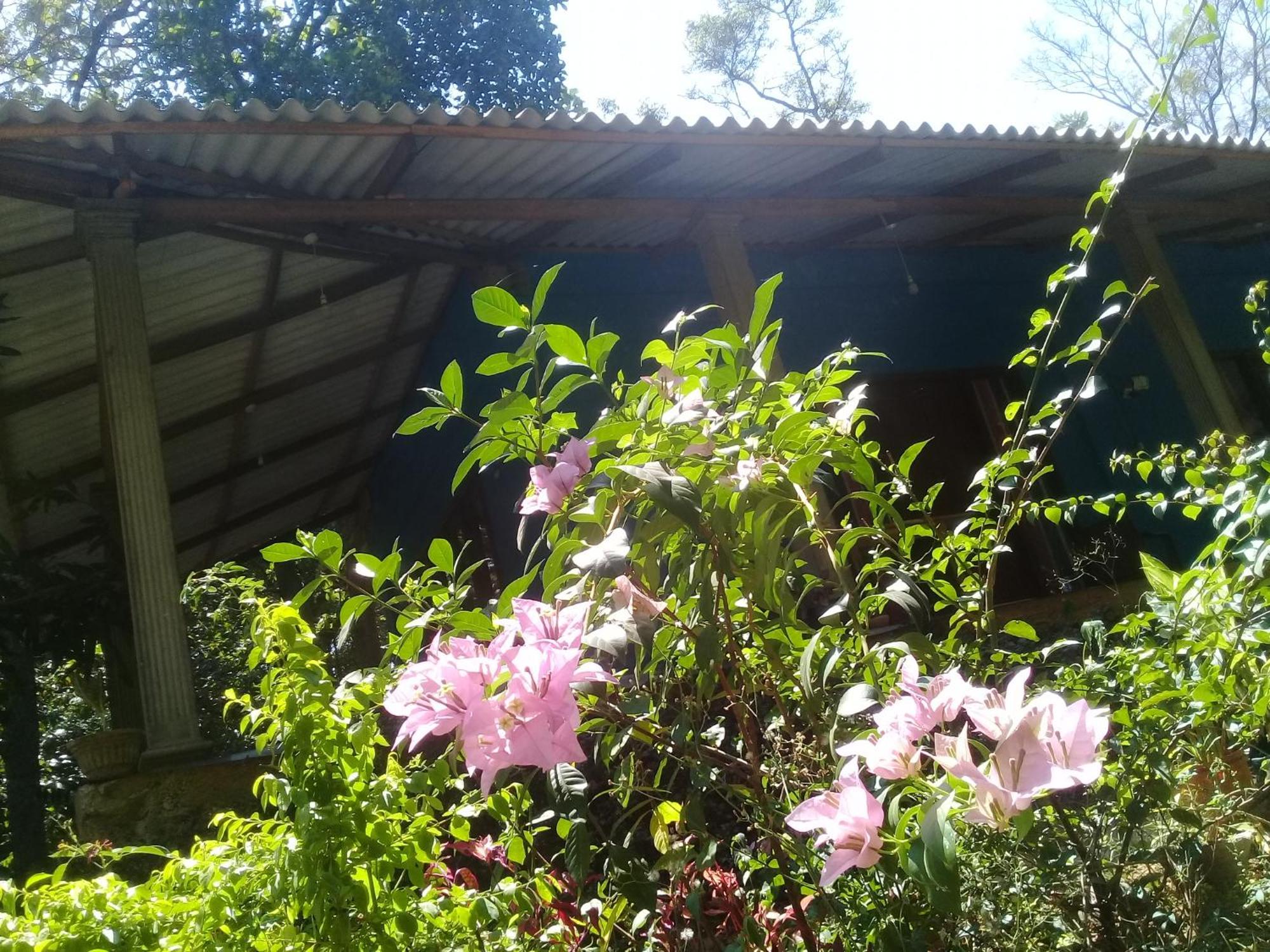 Dambulla Sun Vsh Holiday Exterior foto